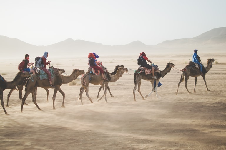 خدمات رحلات المجموعات