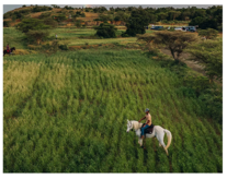 Aseer Horseback
